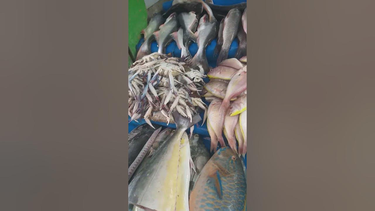 ukkadam-fish-market-youtube