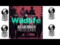 Wildlife dingo ft jora mc zimbabwe  uganda