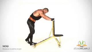 Trening Łydek - Wspięcia Na Jednej Stopie - Atlascwiczen.pl