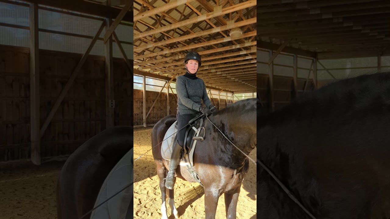 How to Ride with No Stirrups No Stirrup November Final Video 