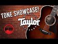 Tone Showcase | Taylor 414CE 50th Anniversary Special Edition