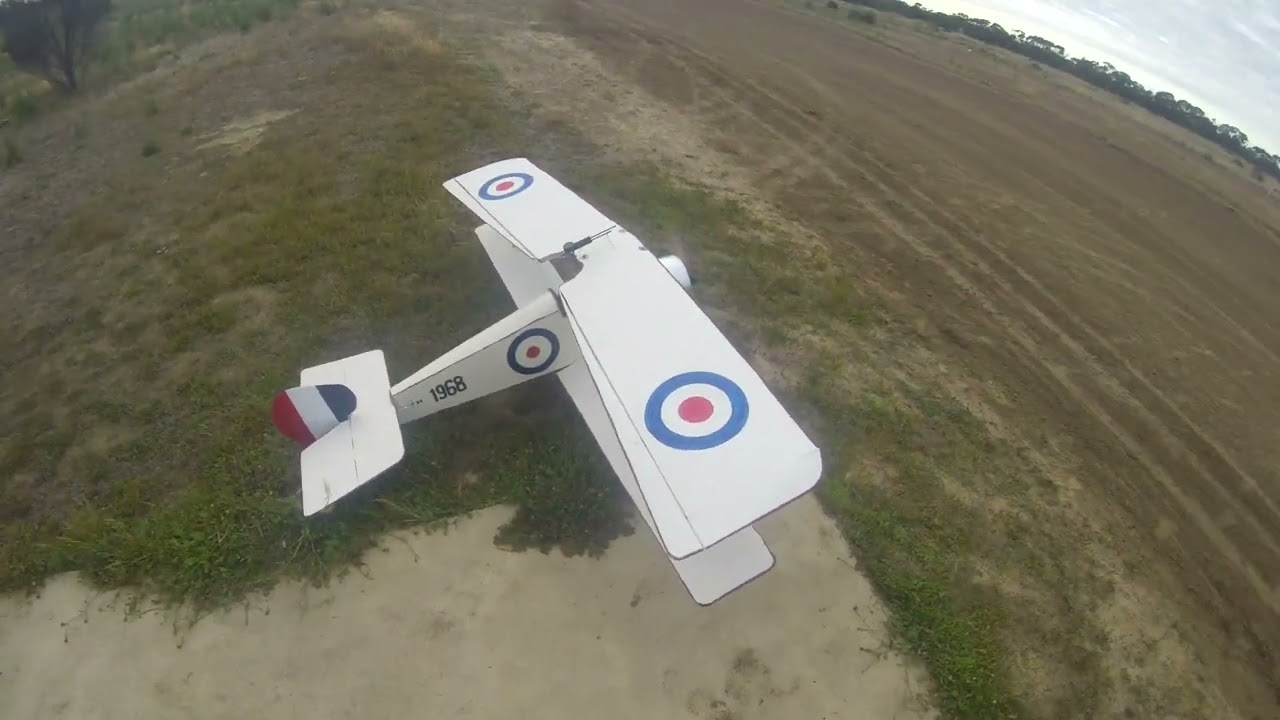 1/4 scale WW1 N11-C1 Full Corflute..WILL IT FLY ?