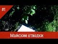 Майские отводок на одну рамку расплода часть 1 Дерево или Пеноплекс