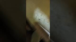 nvr uni view #vairalvideo #home #viral #video #funny #comedy #fyp #freefire #youtubeshorts #youtube