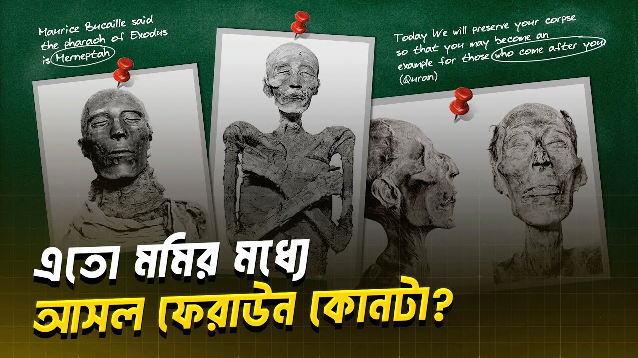 মূসা (আ.) এর সময়কার ফেরাউন কে? | #pharaoh of the #exodus (From #muslim Perspective)