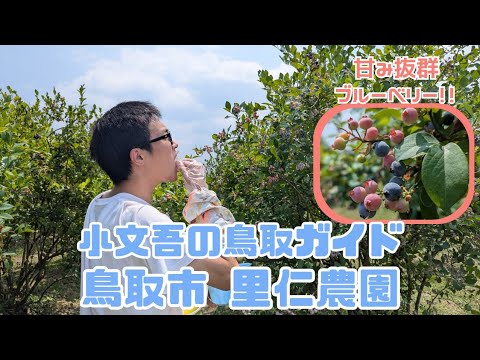 里仁農園（里仁ブルーベリー農園）の紹介動画サムネイル
