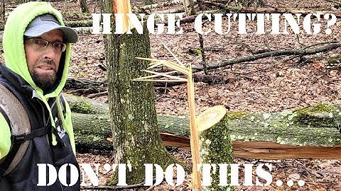 Hinge Cutting DON