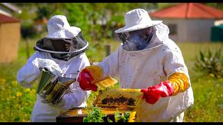 UFH Youngest PhD Graduate’s Research Champions Beekeeping as a Catalyst for Rural Economic Transform