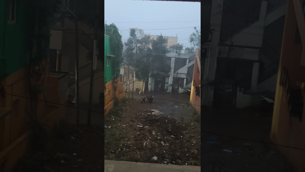 in summer 🌞 sudden rain 🌧️🌧️