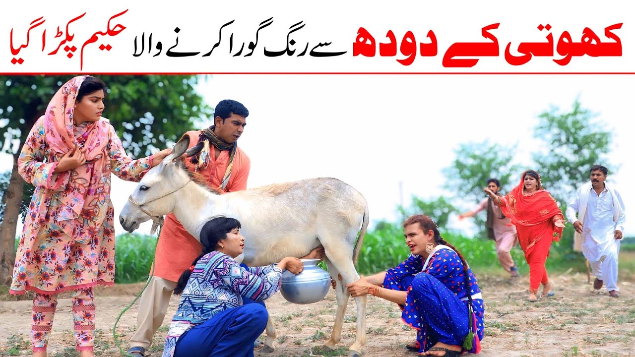 Milk Pack | Ramzi,Noori, Bilo ,Bhootna,Shoki, Sanam, Falak Sher,Funny Video  Rachnavi Tv