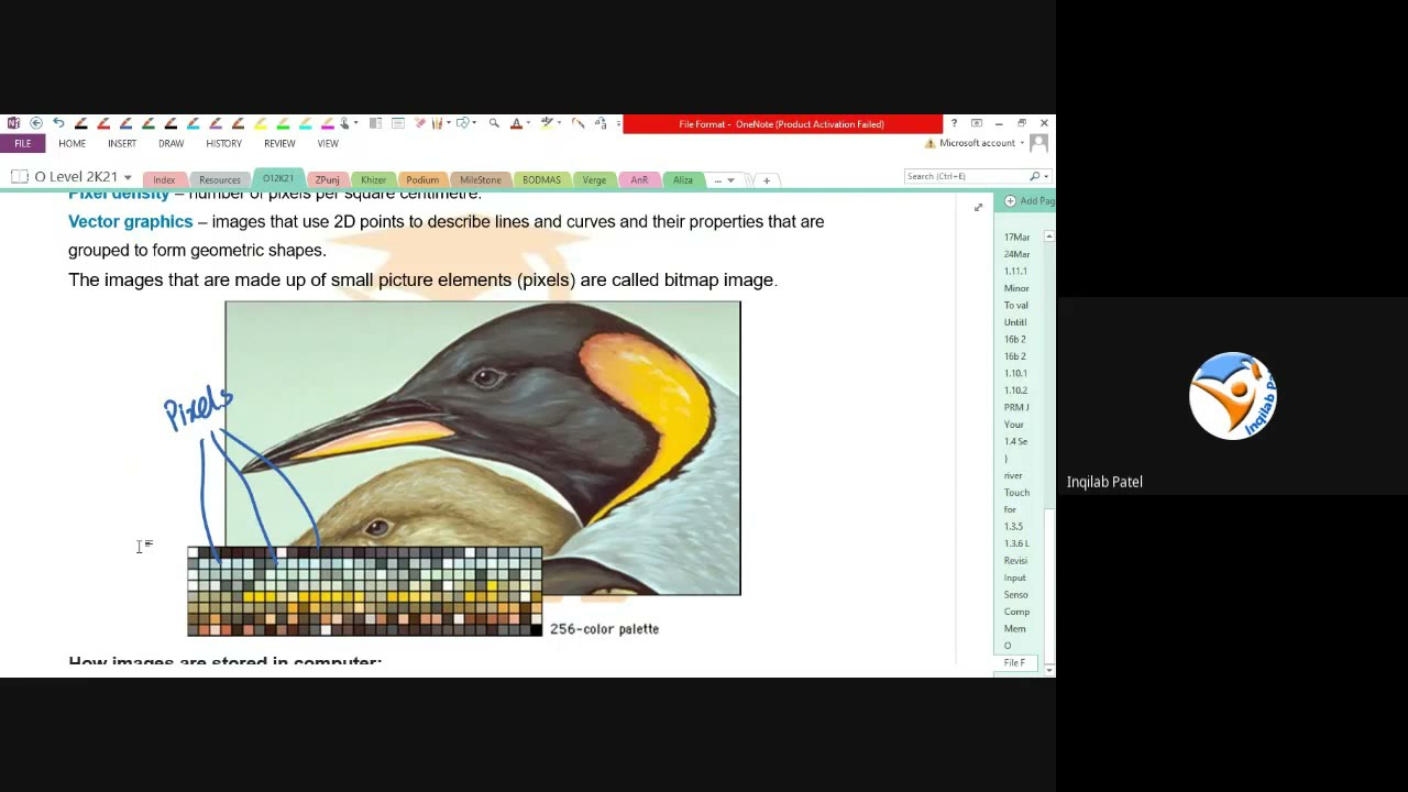 File Format and File Compression for O Level & IGCSE Computer Science by Inqilab Patel