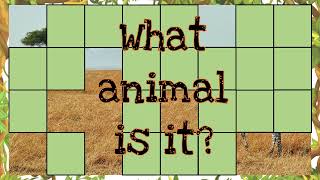 ZOO ANIMALS Guessing game screenshot 5