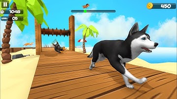 Dog run 3d fun race gameplay walkthrough All levels Android games