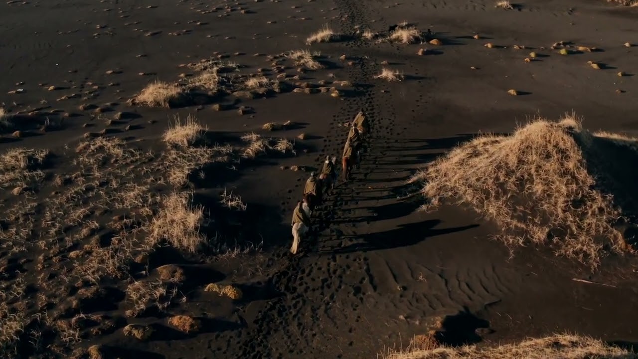 Horseback ride to the Black Sand Beach with Mr Iceland