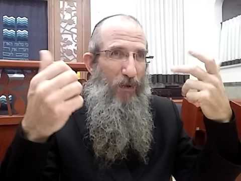 הרב ברוך וילהלם - תניא - שער הייחוד והאמונה  - סיום פרק י ותחילת פרק יא