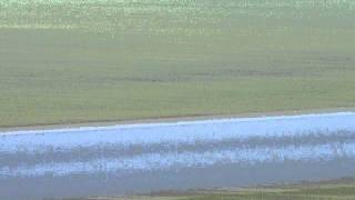 DSCF2093.AVI