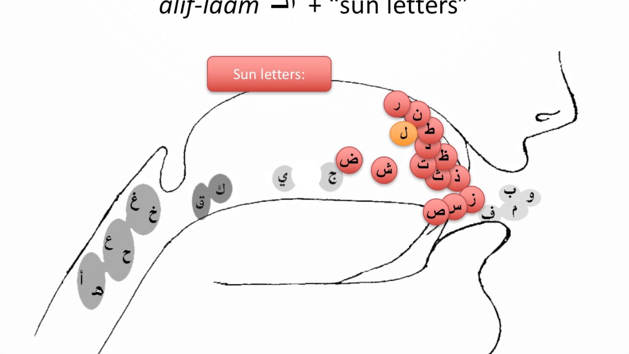 Sun In Letters Sun Letters and Moon Letters in Arabic - YouTube