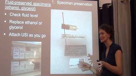BITC / Data Capture - Workflows - small 3D specimens -- 2