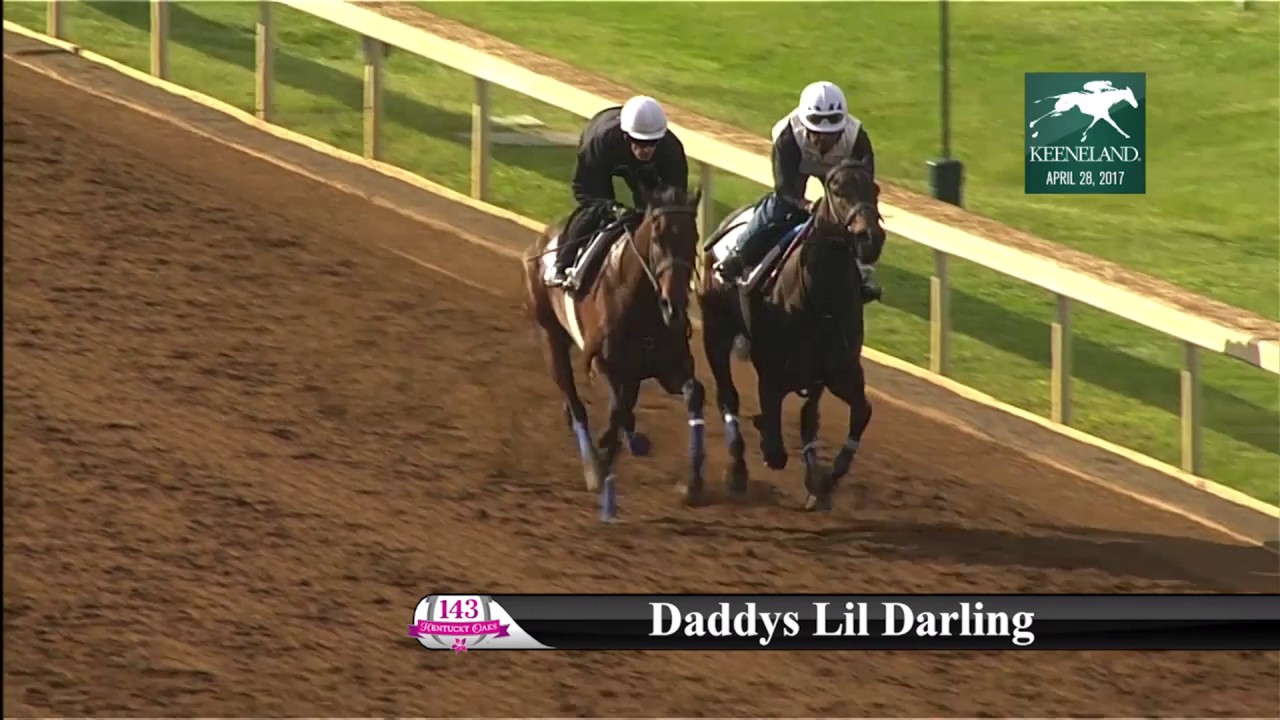 horseshoe bend Daddys Lil Darling breeze 4.28
