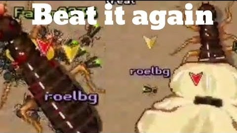 attacking termite king👑 and Termite Queen 👑  pocket ants part #13