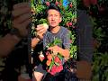 Kulen fruit so sweet eating with rural farming life #viral #fruit #satisfying #shorts