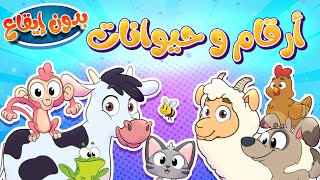 Marah Tv -  قناة مرح| أغنية أرقام وحيوانات بدون ايقاع