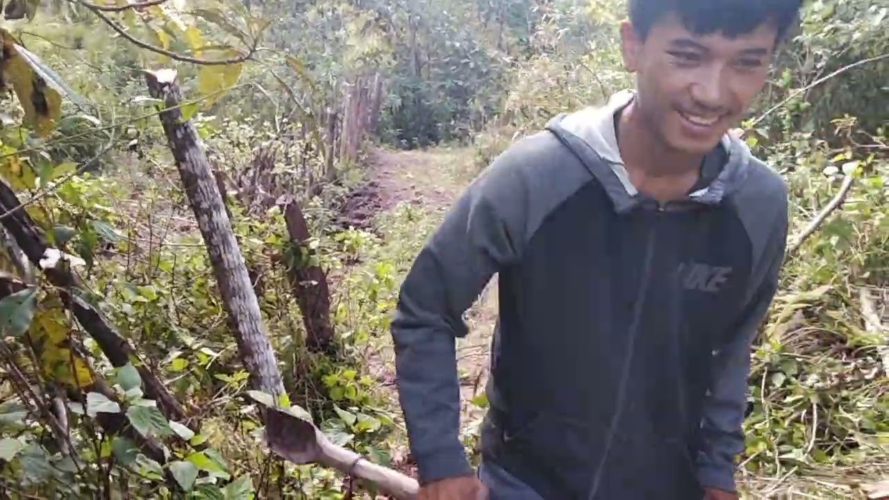 Wb mu ua laj kab o 15/12/2025