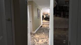 IMG 1318