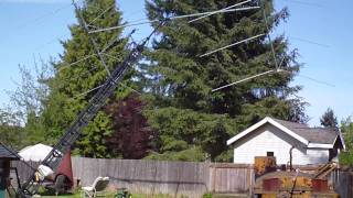 Daffy Duck Jo Gunn Antenna (3HD)