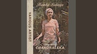 Download Lagu Terpaksa MP3