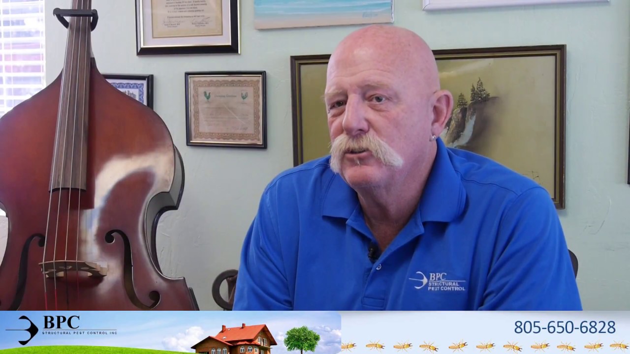 BPC Pest Control - YouTube