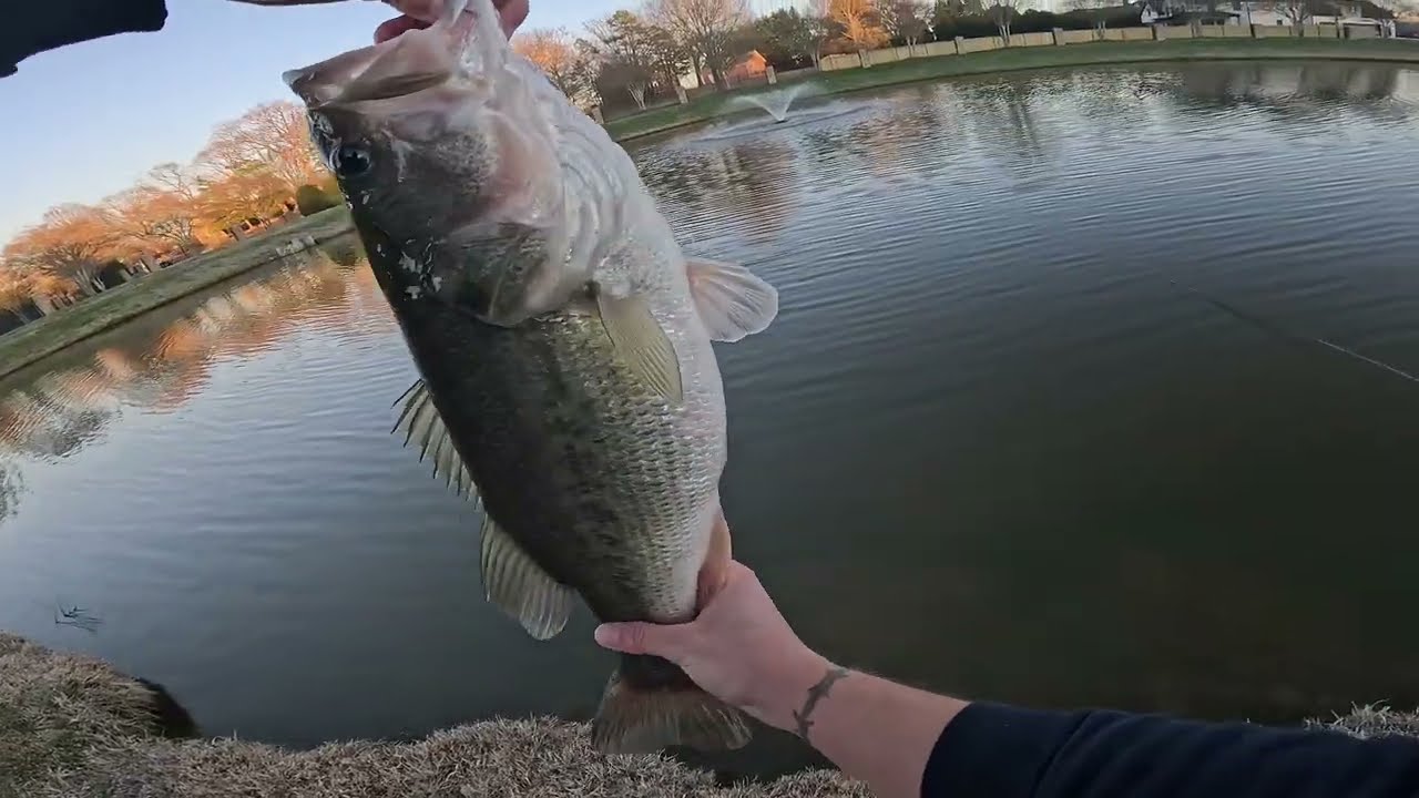 NEEDED THIS MONSTER TO BITE!! | Bass Fishing w/ Ben