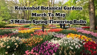 4K Keukenhof Botanical Gardens 7 Million Flowering Bulbs