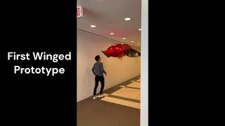 Flapping Wing - First Month Progress