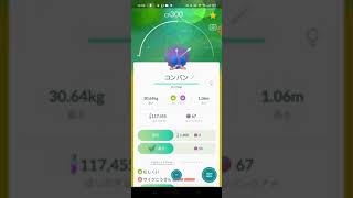 ポケモンgo 色違い進化 コンパンからモルフォンへ Youtube