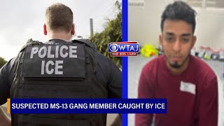 Suspected MS-13 gang member, 23 others caught by ICE in Centre County | WTAJ