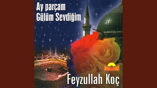Ölüm Sohbeti — Feyzullah Koç kapak görseli