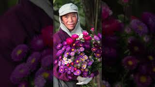 Behind the bouquet: Hmong Flower Farmers of Pike Place Market