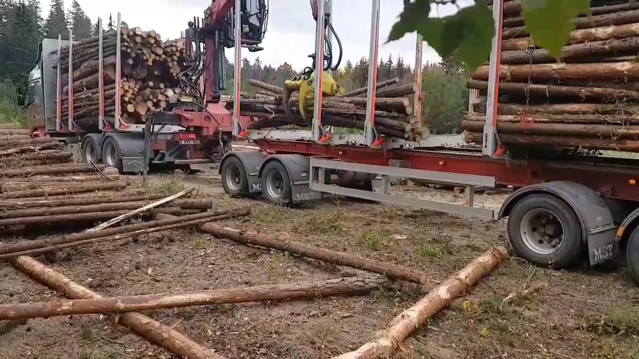 Scania R730 V8 Timmerbil Lastar