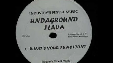 Undaground Flava - What's Your Function?