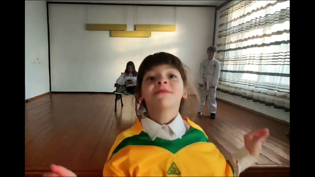 siguranta online-Gimnaziul Viișoara