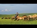 Capture de la vidéo Mongolia - Crowds - Armand Amar