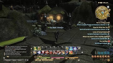Final Fantasy XIV: Terror at Fallgourd quest
