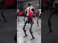 Robots dance at Chinese Lunar New Year festival
