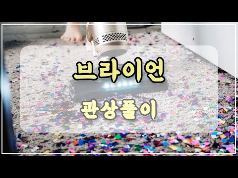관상과학 브라이언 관상 「원숭이 상의 운명은?」
