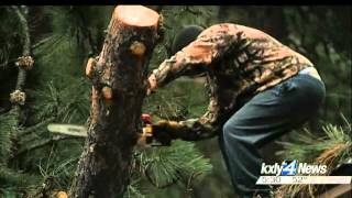 Falling trees knock out power in Post Falls neighborhood