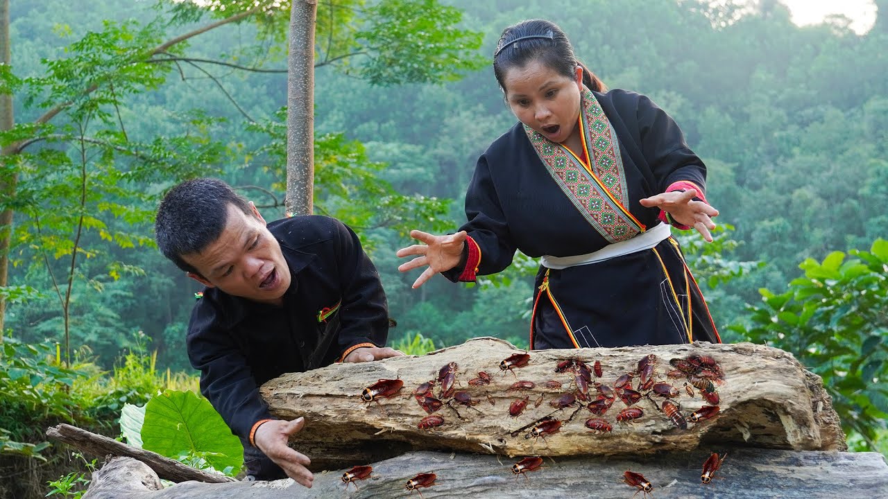 Dwarf Family Harvesting Wild Apple & Find Cockroach Nest in a Rotten Tree Trunk - A Surprising Feast