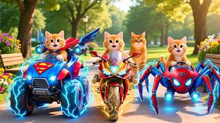 Live 🔴Mama Cat And Kitten ✨Funny Cat | Kucing 🌻 Cat Videos 😿 Cute Cat | Meow Meow screenshot 1