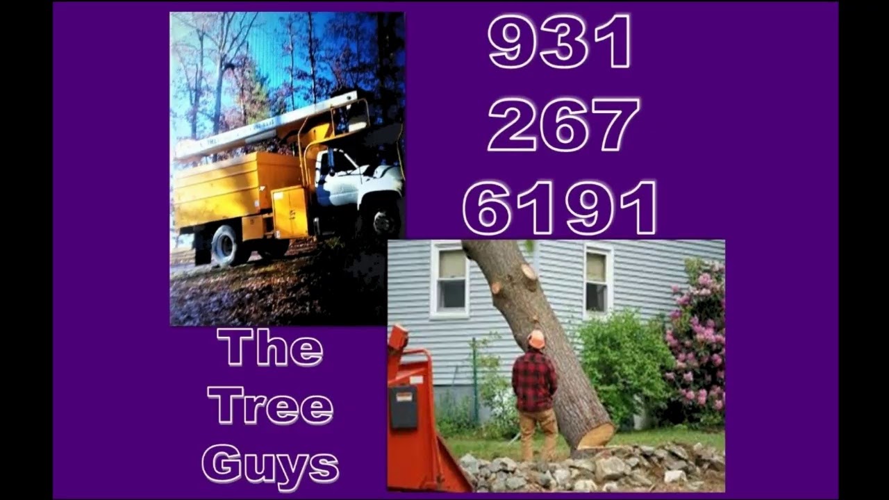 MHS Wildcats vs Pickett County Bobcats YouTube