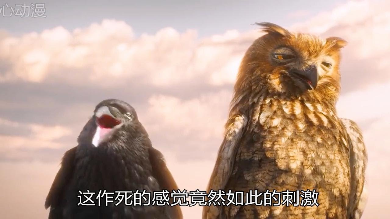 三只傻鸟的高压线体验 - YouTube